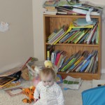 Before: Kids' Bookshelf